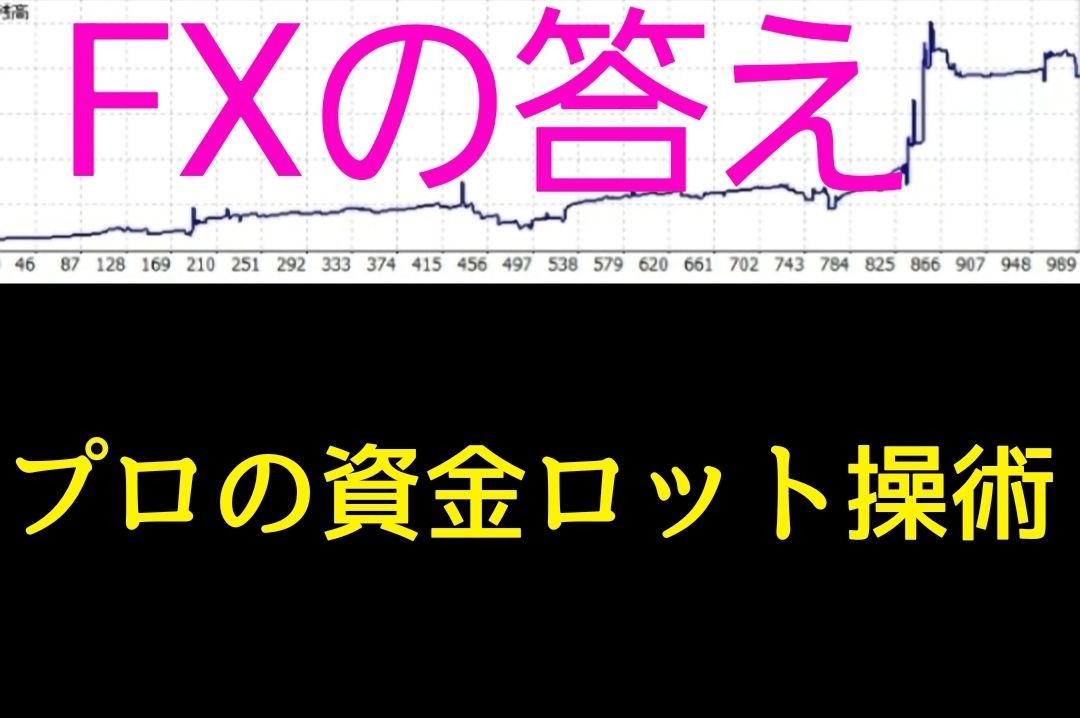 การจัดการเงินทุนล็อตของ FX โปร Indicators/E-books