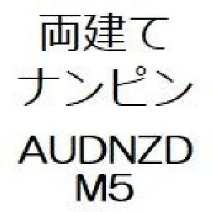 両建てナンピン　AUDNZD　M5 自動売買