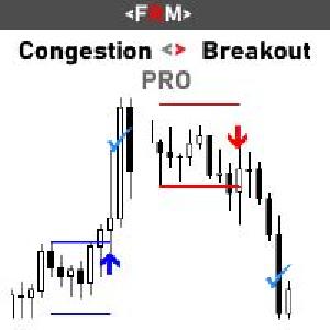 コンジェスション ブレイクアウト プロ インジケーター・電子書籍