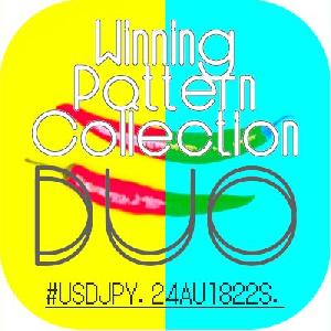 WPC_DUO_24AU1822S_UJ_Ver01 自動売買