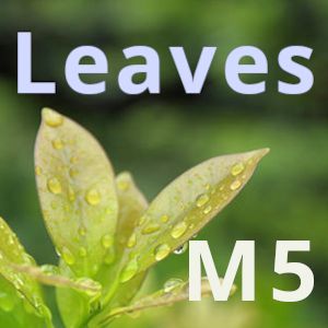 Leaves_GBPJPY_M5 Tự động giao dịch