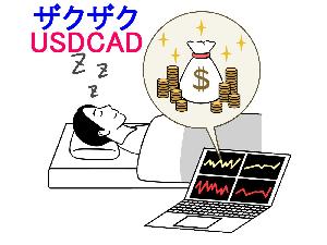 ザクザク USDCAD 自動売買