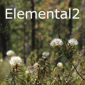 Elemental-EA2_XAUUSD_M5