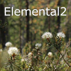 Elemental-EA2_XAUUSD_M5 自動売買