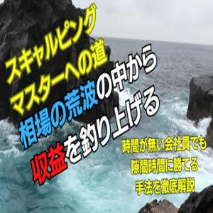 スキャルピングマスターへの道～スキャトレ戦略ベスト８～ インジケーター・電子書籍