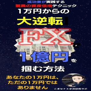 1万円からの大逆転！ FXトレードで1億円を掴む方法 インジケーター・電子書籍