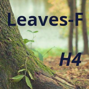 Leaves-F_GBPJPY_H4 Auto Trading