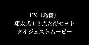 FX（為替）翔太式１２点お得セット【聖杯常勝トレードスキル継承プログラム】ダイジェストムービー インジケーター・電子書籍