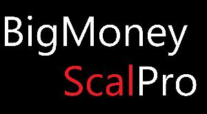 BigMoneyScalPro インジケーター・電子書籍