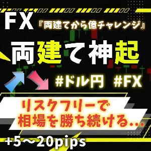 FX両建て神起 リスクฟรีで相場を勝ち続けるプラス転換の決済手法 両建てから億チャレンジへ Indicators/E-books