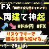 FX両建て神起 リスクฟรีで相場を勝ち続けるプラス転換の決済手法 両建てから億チャレンジへ