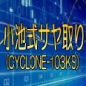 「小池式サヤ取り」（CYCLONE-103KS） 自動売買