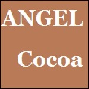 ANGEL_Cocoa 自動売買