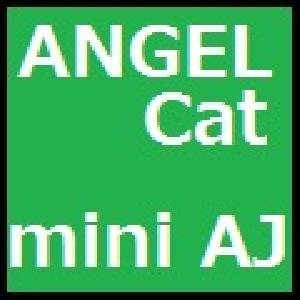 ANGEL_Cat_mini_AJ 自動売買