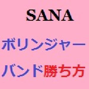 ボリンジャーバンドは順張りしなさい！ インジケーター・電子書籍