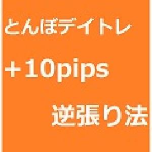 順張りとんぼデイトレードに+10pipsを狙う　逆張り的エントリーの仕込み方　ピボット表示インジケータ付き インジケーター・電子書籍