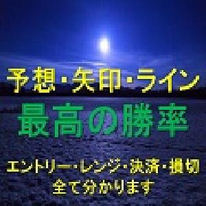 「予想・矢印・ライン」エントリー・レンジ・利益確定・損切すべてが分かります！！ インジケーター・電子書籍