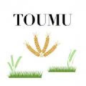 TOUMU 自動売買