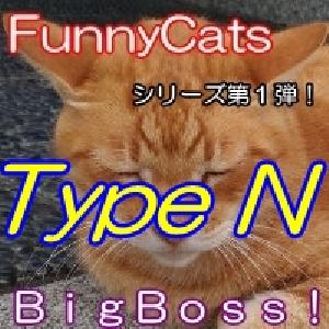 FC_BigBoss!_TypeN 自動売買