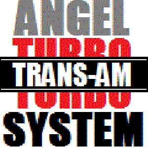 ANGEL TURBO SYSTEM 自動売買