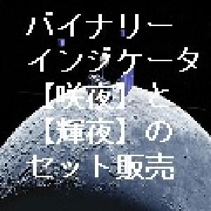 多通貨ペア同時監視システム 【輝夜（かぐや）とリアルタイム勝率表示機能付きバイナリーインジ【咲夜】のセット インジケーター・電子書籍