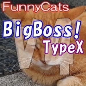 FC_BigBoss!_TypeX 自動売買