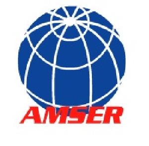 AMSER 自動売買