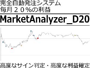 完全自動発注システム MarketAnalyzer_D20 インジケーター・電子書籍